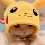 Avatar of Noor Fatima