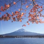 Avatar of Taimoor Rafiq